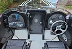 Cougar 21