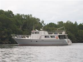 Seahorse 52