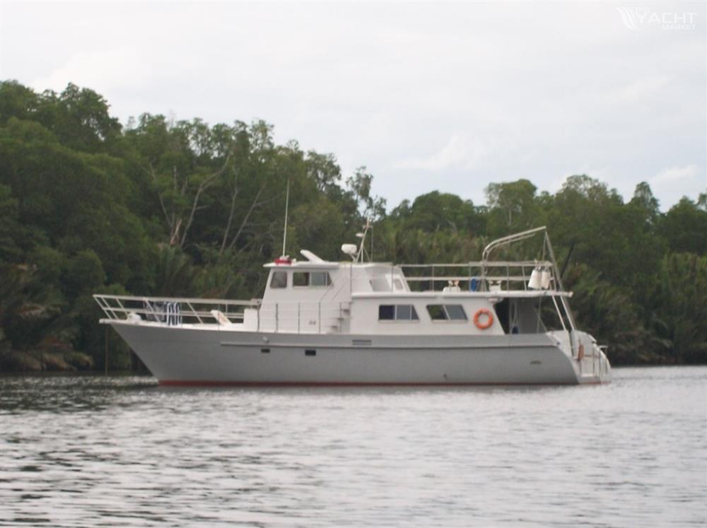 Seahorse 52