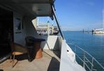 Seahorse 52