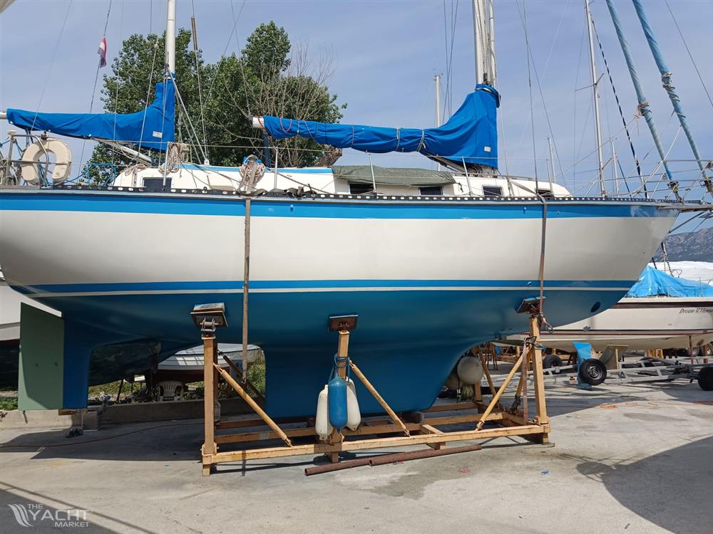 The Swallow Company Scylla 36