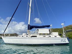 Catalina Morgan 43