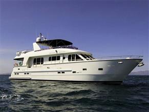 Trader Explorer Trawler