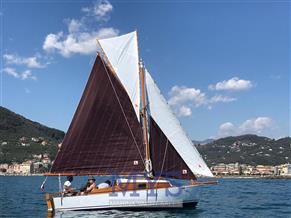 Archetti Cutter Aurico