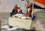 Nicholson 35