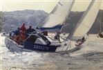Nicholson 35