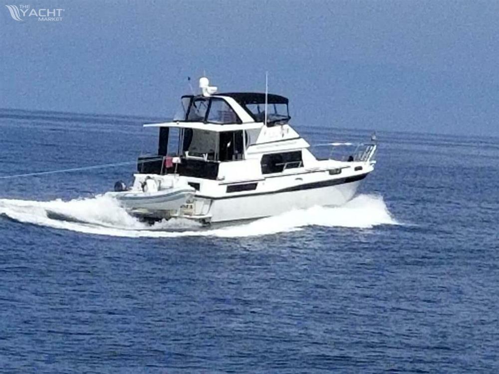 Camargue Motoryacht