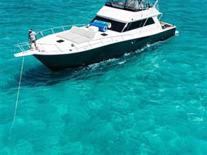 Viking Sport Fisherman