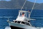 Bertram 31 Sportfisher