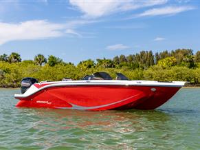 Bayliner Element M19