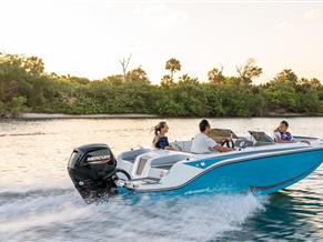 Bayliner M17