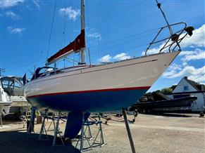 Carter Teliga 30 Royal