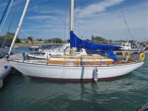 Twister 28