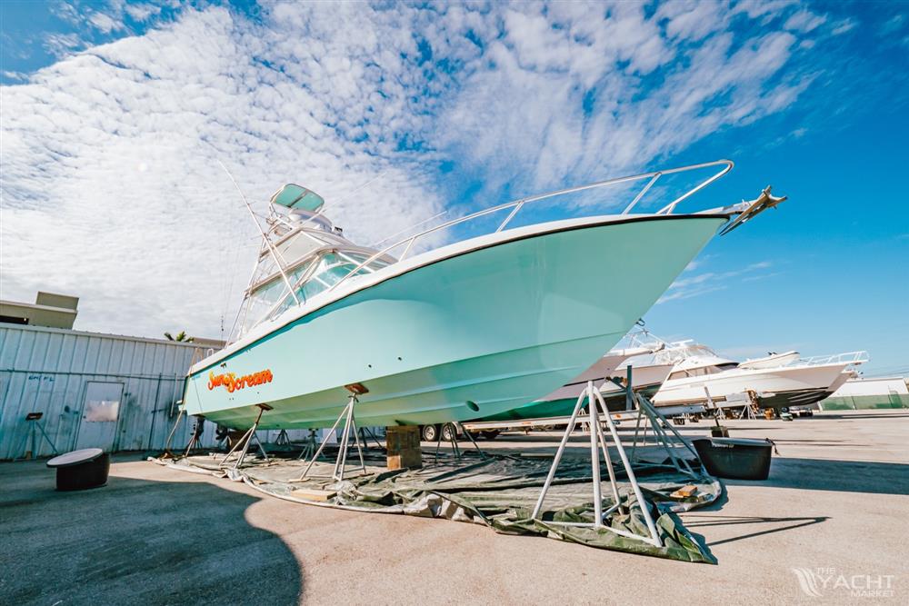 Contender 38 Express