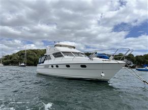 Princess 410