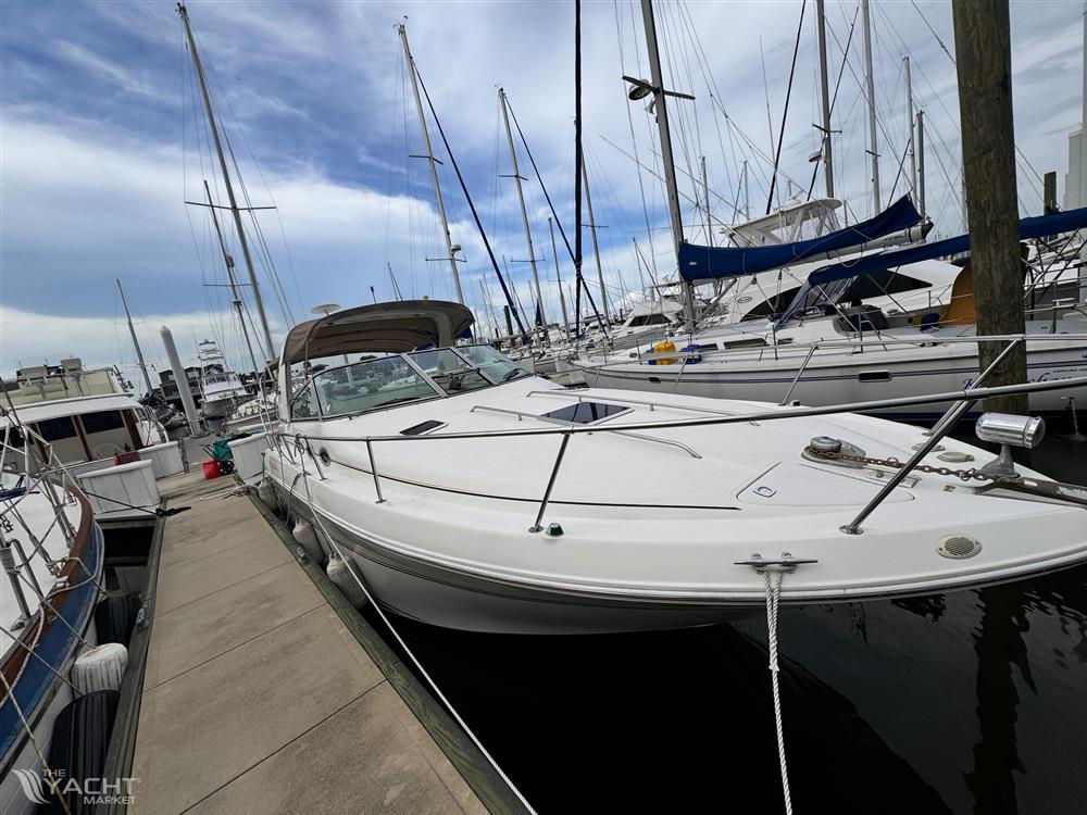 Sea Ray Sundancer - 1998 Sea Ray Sundancer yacht docked at marina with sailboats in background.
