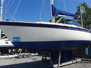 Westerly Falcon 34