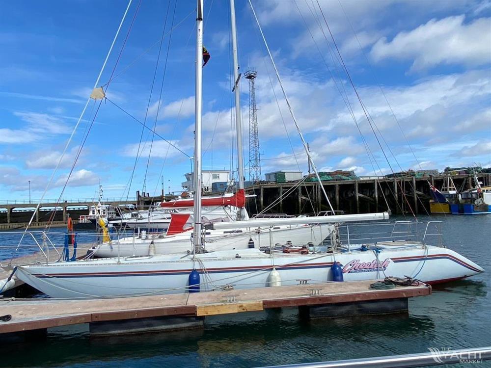 Helmsman Carrera 38 - 9247582 20240215023158219 1 XLARGE