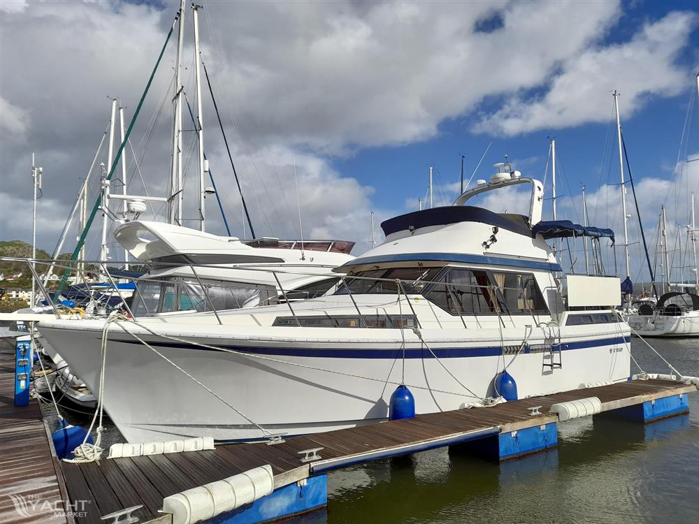 President 38 - 8765663 20230323055255749 1 XLARGE