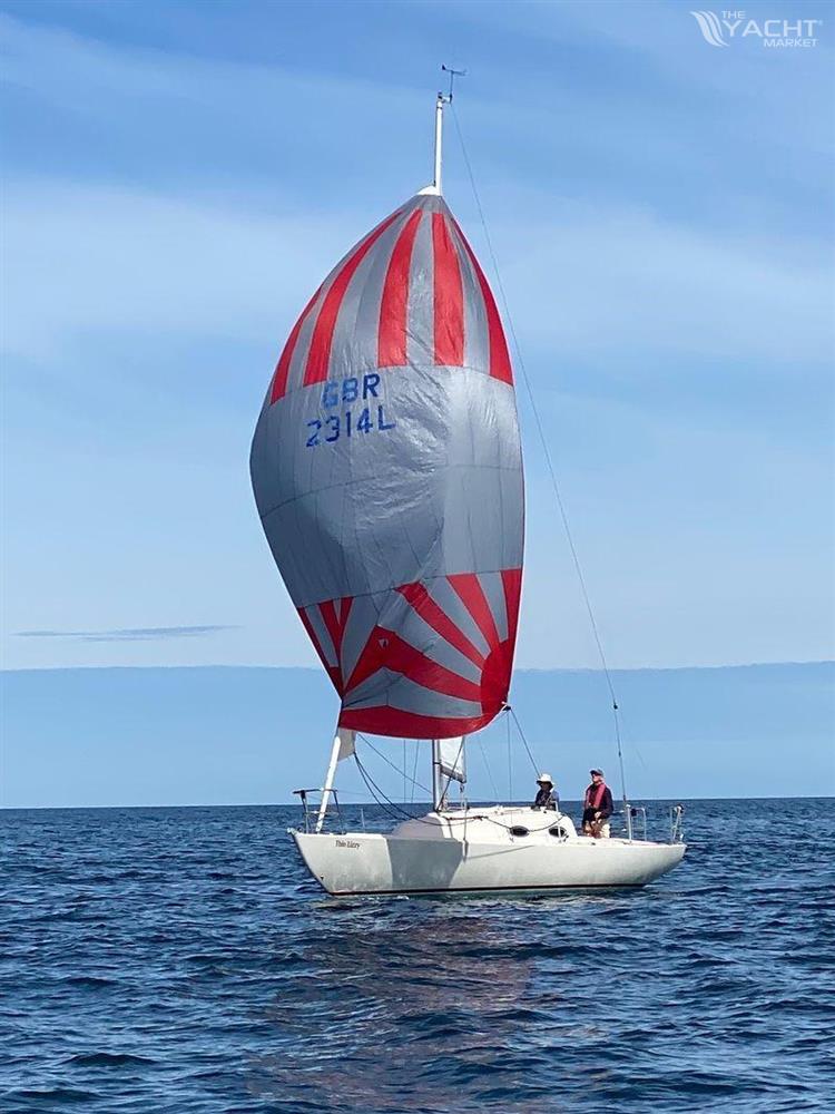 Mystery 30 - 2009 mystery 30 sail 9376800 20240503062411094 1 XLARGE