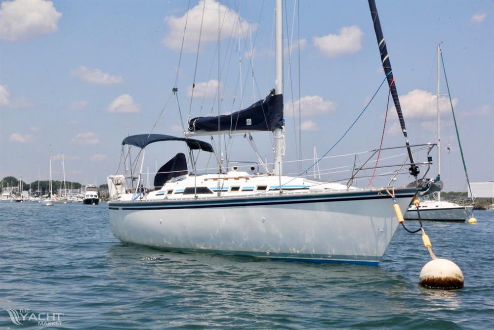 Hunter 31