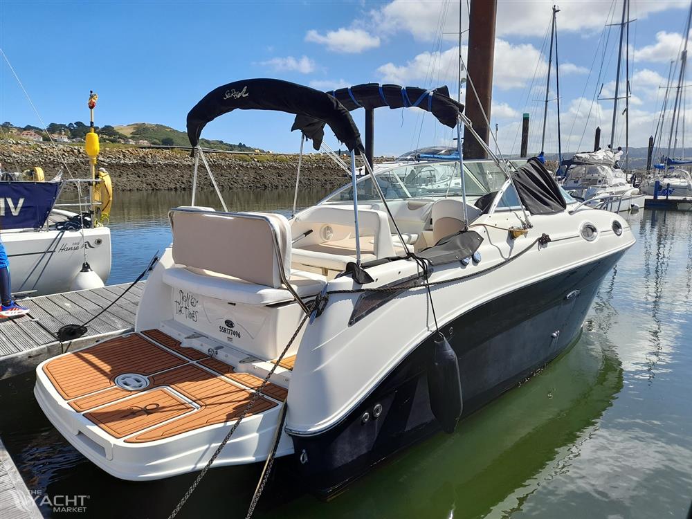 Sea Ray 255 Sundancer - 20240814 121456