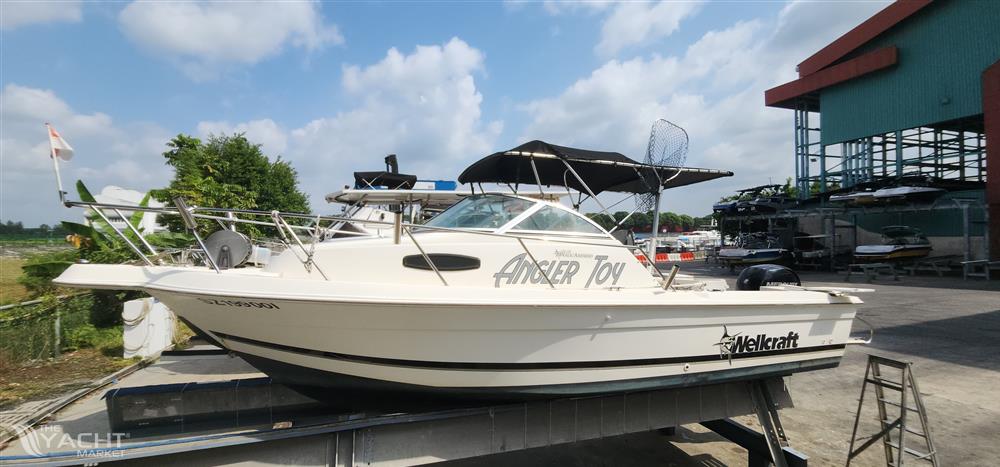 Wellcraft 22 Walkaround