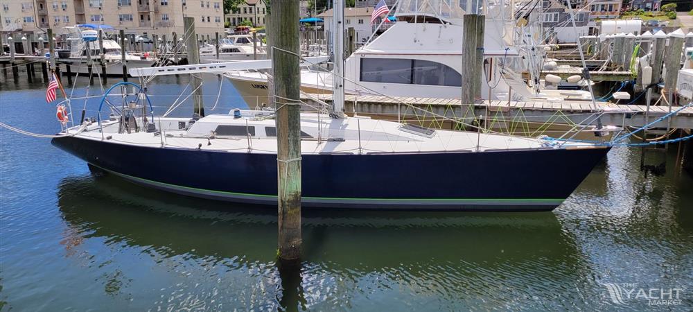 Concordia Taylor 42