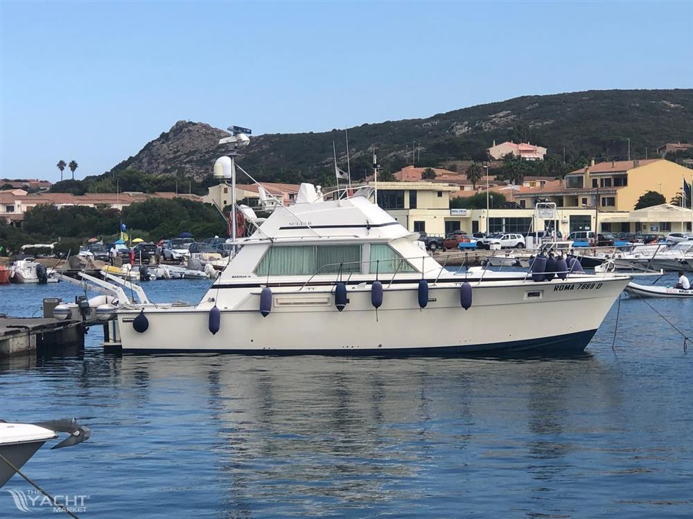 Bertram Yacht Bertram 42&#39; Convertible - WhatsApp Image 2024-10-31 at 18.25.03 (3)