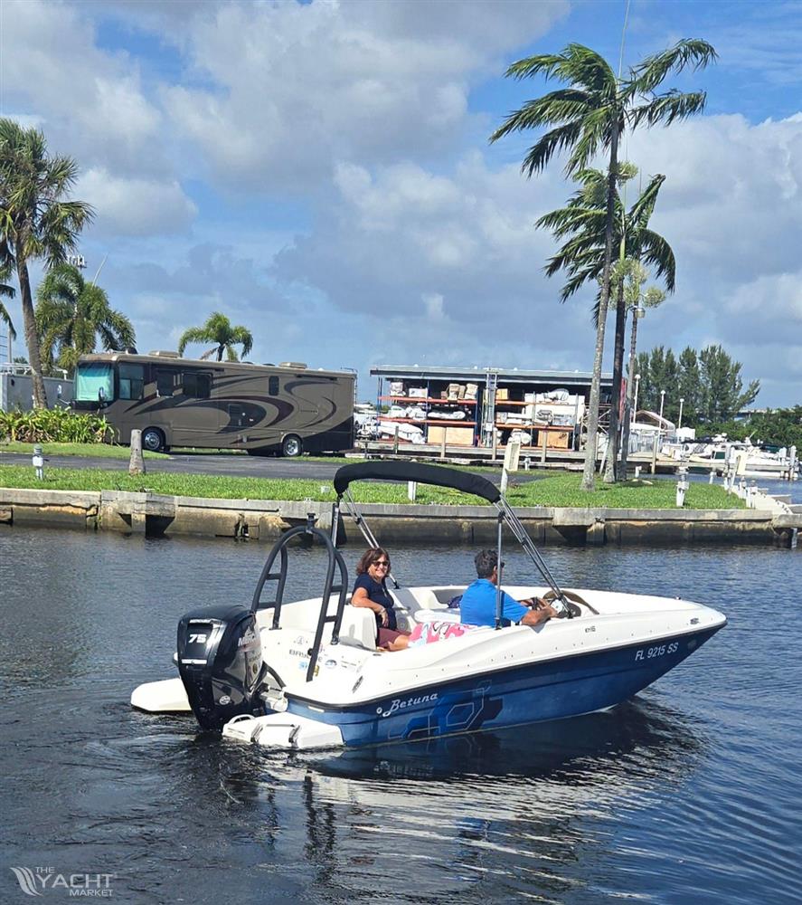 Bayliner Element 16 - 2020 Bayliner Element 16 boat cruising on a sunny day near palm trees.