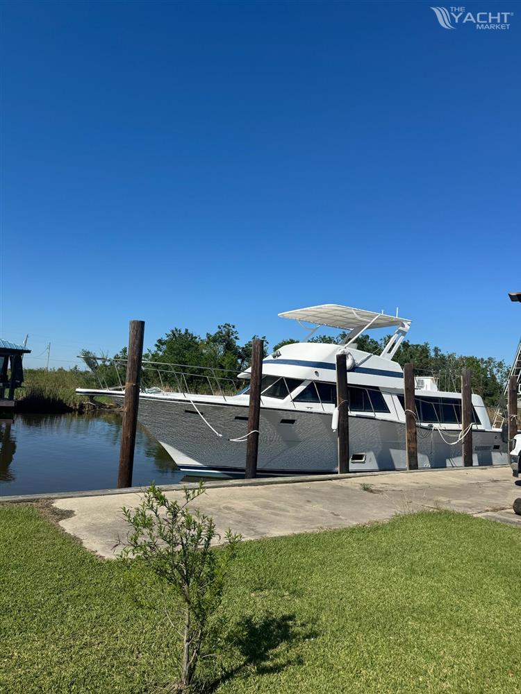 Blue Water Motor Yacht - 1982 Blue Water motor yacht docked by a grassy shore under clear blue skies.