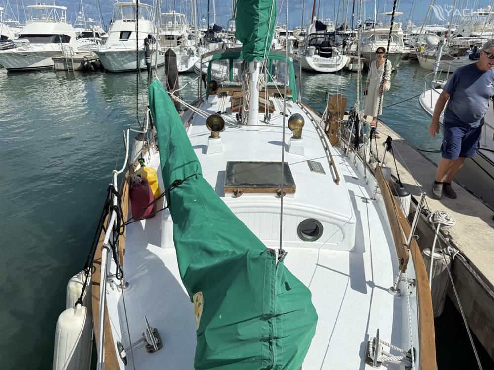 Tayana 37
