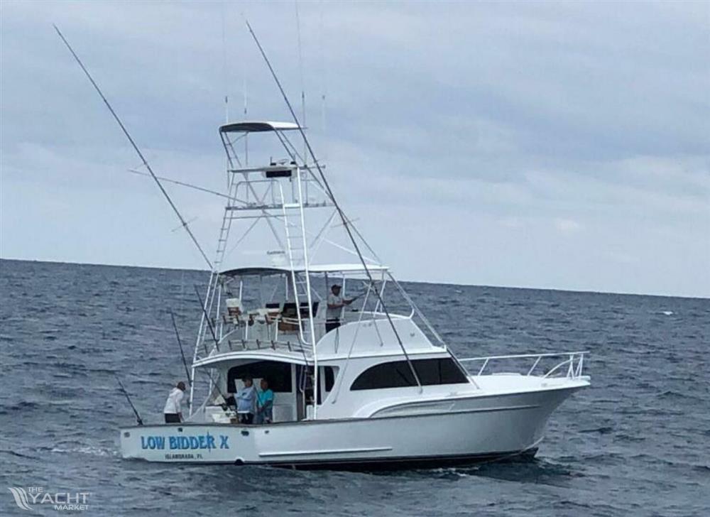 Sunny Briggs Flybridge Sportfish - LOW BIDDER X