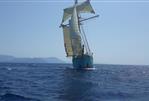 Abels Shipyard Replica Topsail Schooner - 1692884598 d0131d07 966f 4459 97ca da97e6acbd71