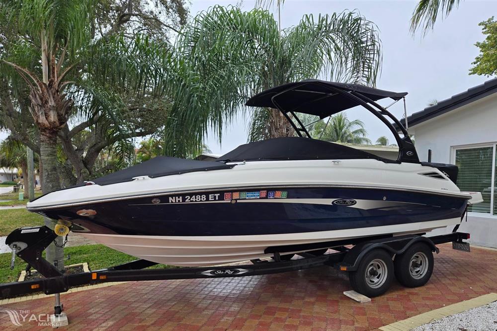 Sea Ray 220 Sundeck - 2015 Sea Ray 220 Sundeck boat on trailer, parked near palm trees.