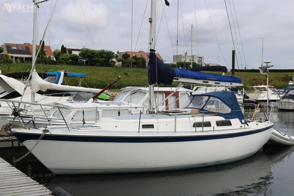 Zeilboot Cal 31