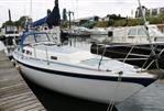 Zeilboot Cal 31