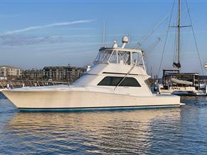 Viking 47 Convertible