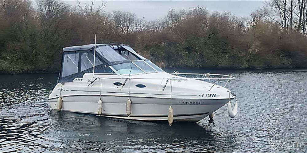 Searay 240 Sundancer - Image 