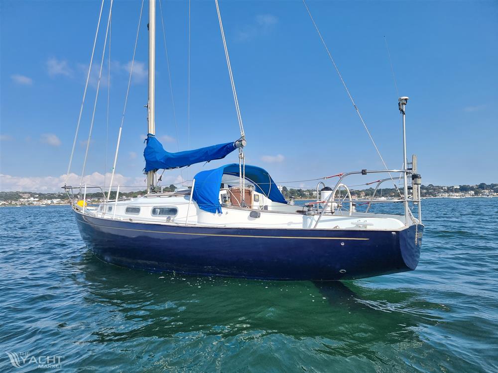 Dolphin Seeker 31