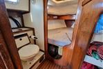 Dolphin Seeker 31