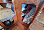 Dolphin Seeker 31