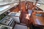 Dolphin Seeker 31