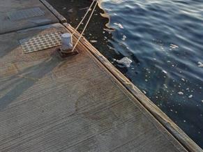 R.P.D. Oceanica Ranger 32