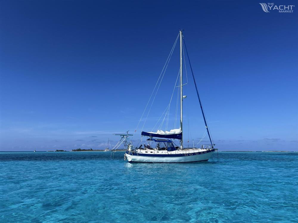 Catalina Morgan Classic 41