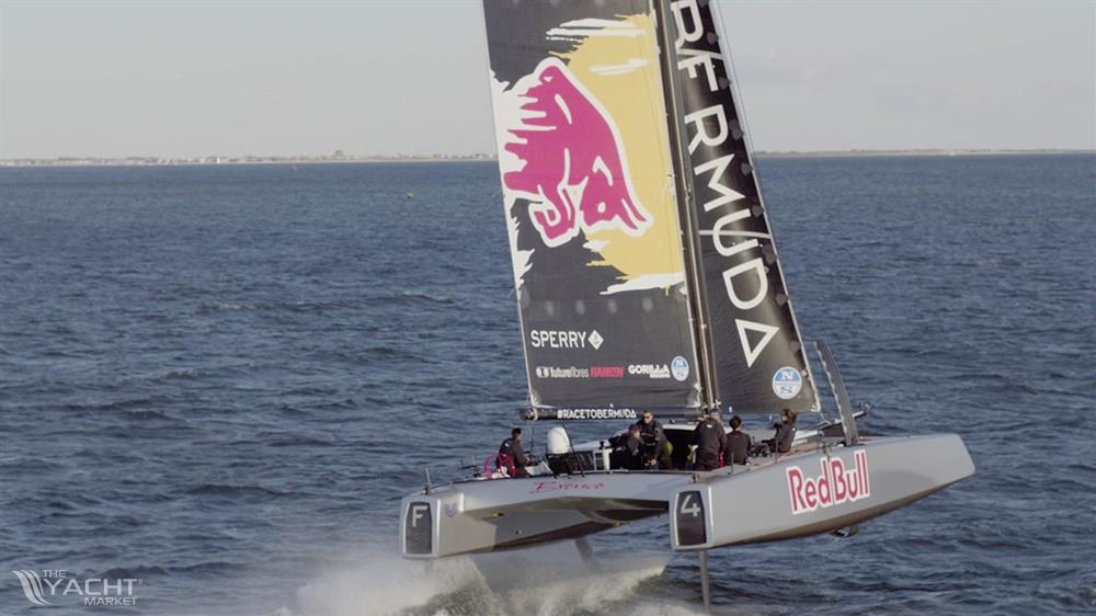 DNA F4 Foiling Cat - Default Image