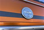 Scarab 31