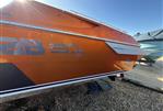 Scarab 31