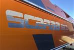 Scarab 31