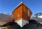Scarab 31